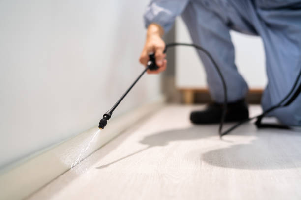 Licensed Ant Control service in Prince George, VA - Nex Pest Control