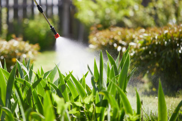 24/7 Emergency Ant Control experts in Prince George, VA