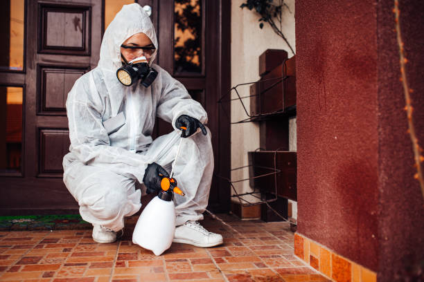 Reliable Ant Control contractor in Prince George, VA by Nex Pest Control