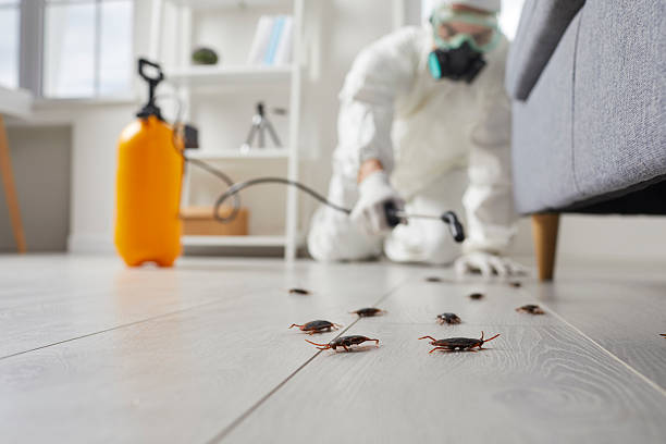 Trusted Cockroach Control service in Prince George, VA - Nex Pest Control